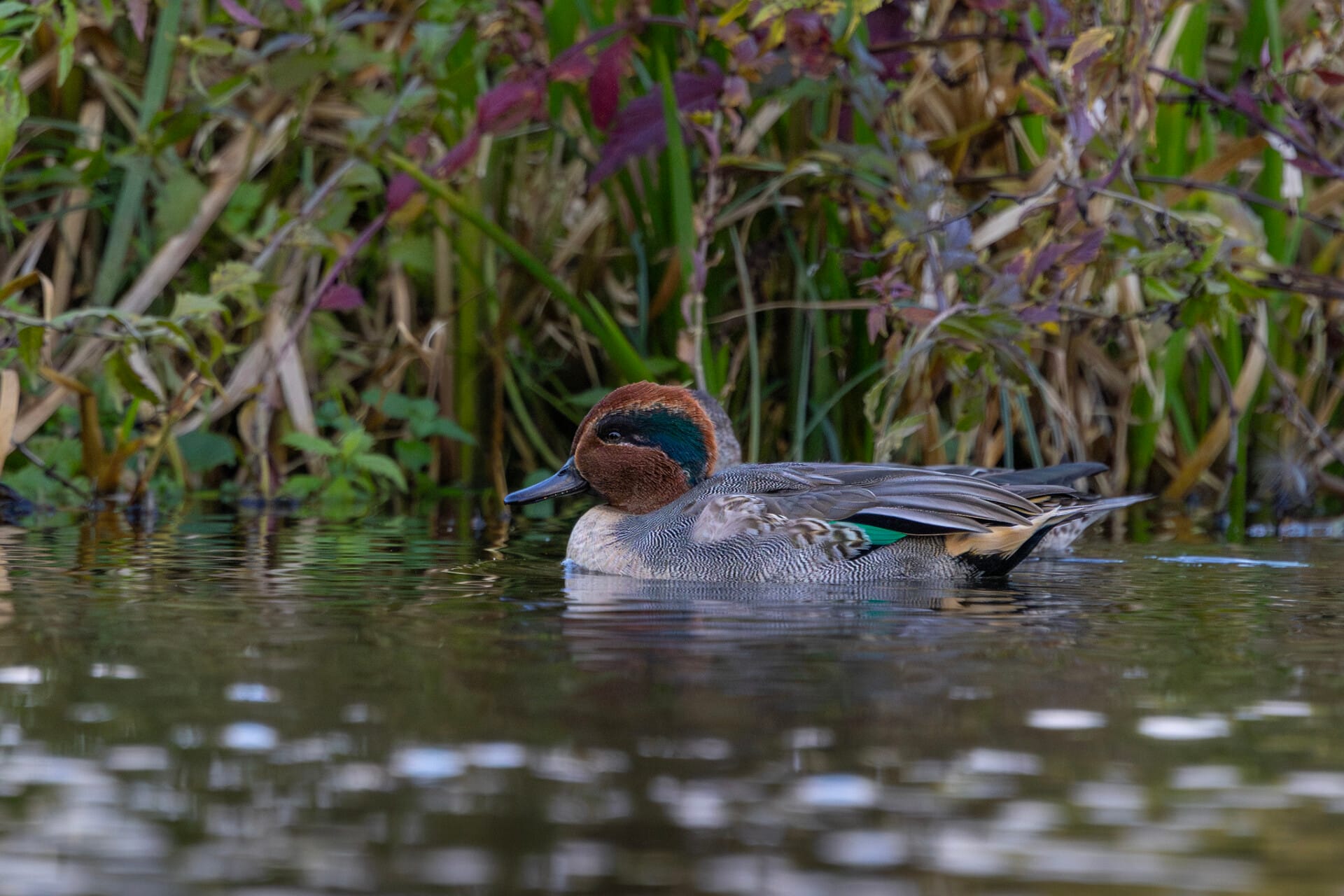 Wintertaling_okt_15_2024_WeidD_2W1A8040_AI_FB.jpg